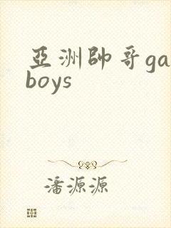 亚洲帅哥gayboys