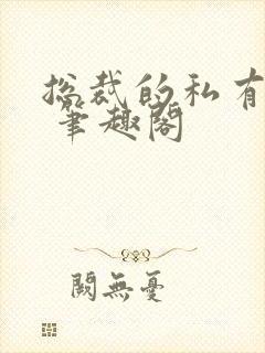 总裁的私有宝贝 笔趣阁