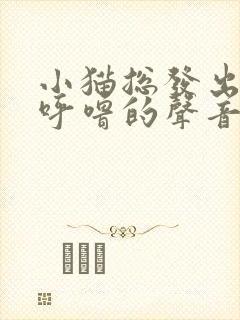 小猫总发出呼噜呼噜的声音怎么回事