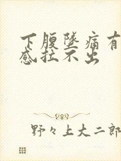 下腹坠痛有排便感拉不出封面