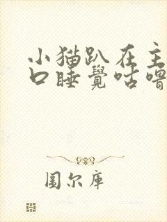 小猫趴在主人胸口睡觉咕噜咕噜叫