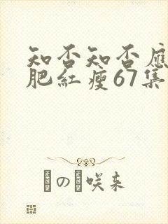 知否知否应是绿肥红瘦67集