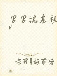 男男搞基视频av