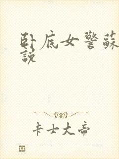 卧底女警苏娟小说