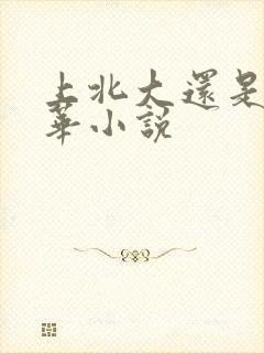 上北大还是上清华小说