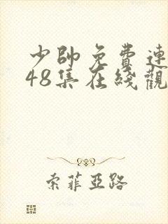 少帅免费连续剧48集在线观看高清版封面