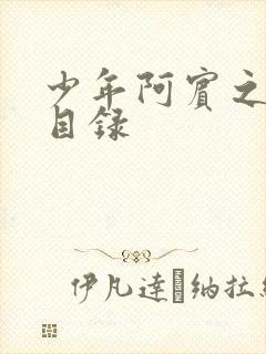 少年阿宾之章节目录