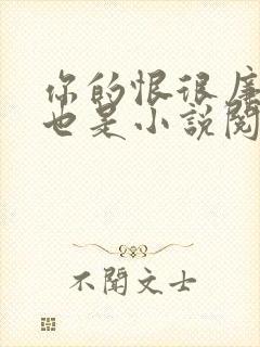 你的恨很廉价爱也是小说阅读