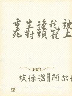 重生后我被渣男死对头宠上天短剧