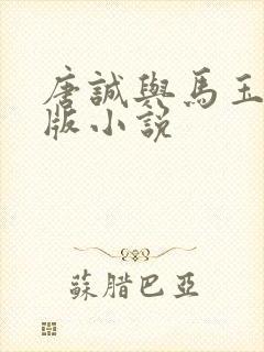 唐诚与马玉婷原版小说