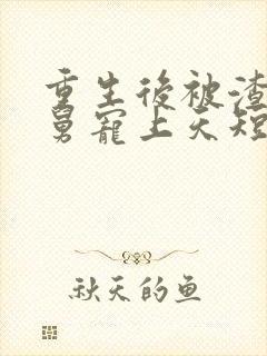 重生后被渣男舅舅宠上天短剧全集