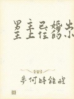 男主已婚出轨女主上位的小说封面