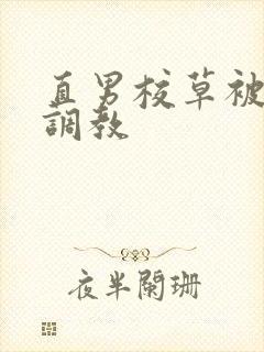 直男校草被催眠调教封面