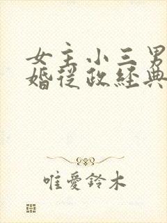 女主小三男主已婚从政经典言情