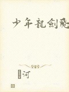 少年龙剑飞全文封面
