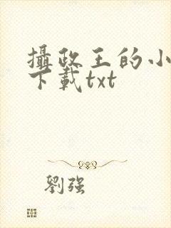 摄政王的小闲妻下载txt
