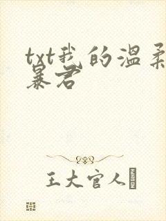 txt我的温柔暴君
