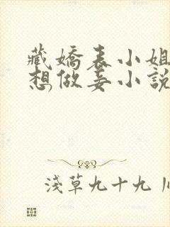 藏娇表小姐她不想做妾小说免费阅读