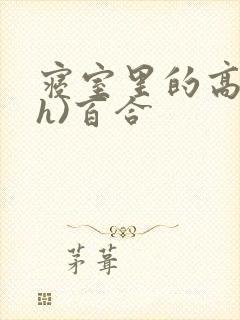 寝室里的高潮(h)百合封面