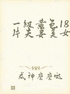 一级黄色18岁片夫妻美女