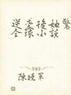 逆袭后她惊艳了全球小说