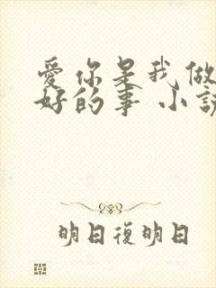 爱你是我做过最好的事 小说封面