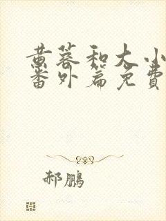 黄蓉和大小武的番外篇免费阅读