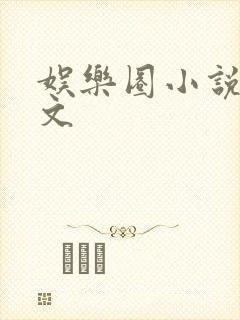 娱乐圈小说甜宠文