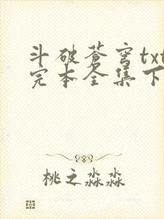 斗破苍穹txt完本全集下载封面