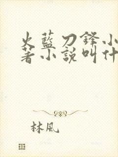 火蓝刀锋小说原著小说叫什么名字封面