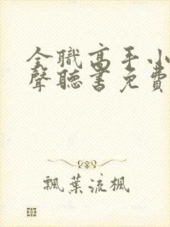 全职高手小说有声听书免费