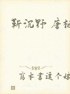靳沉野 唐栖雾