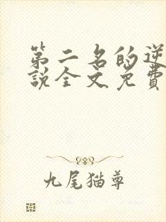 第二名的逆袭小说全文免费阅读封面