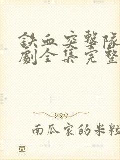 铁血突击队电视剧全集完整版免费观看