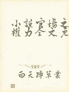 小说官场之绝对权力全文免费阅读