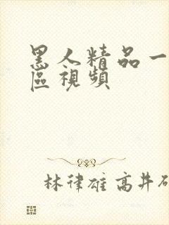 黑人精品一区二区视频