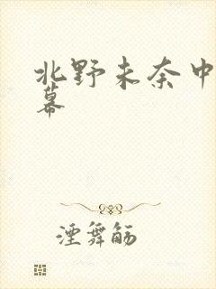 北野未奈中文字幕