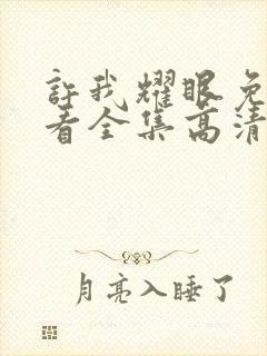 许我耀眼免费观看全集高清