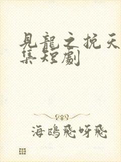 见龙之挽天倾全集短剧