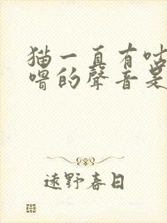 猫一直有咕噜咕噜的声音是怎么回事