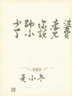 少帅你老婆又跑了小说免费听书