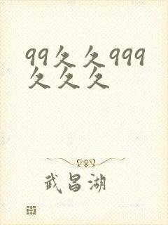 99久久999久久久封面