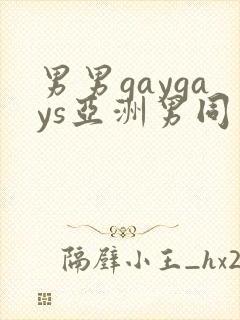 男男gaygays亚洲男同