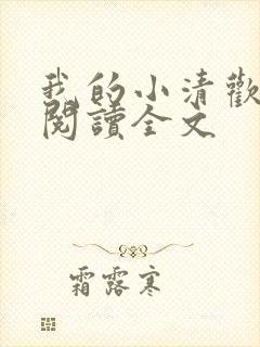 我的小清欢阅读阅读全文