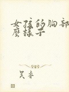 女孩的胸部长什么样子