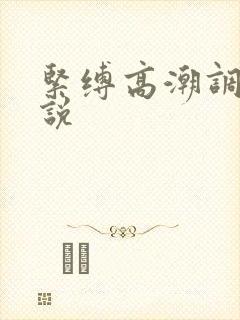 紧缚高潮调教小说封面