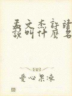 孟文杰许靖丞小说叫什么名封面