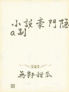 小说豪门隐婚aa制