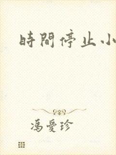 时间停止小说