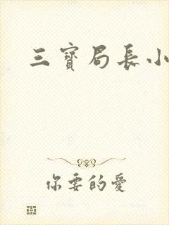 三宝局长小说封面